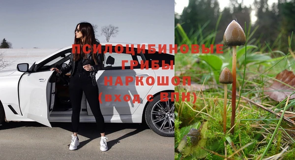 каннабис Алзамай