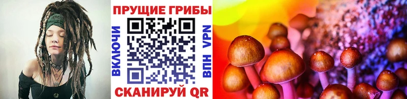 Галлюциногенные грибы Cubensis  как найти закладки  Киржач 
