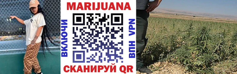 Бошки марихуана планчик  ОМГ ОМГ ТОР  Киржач 